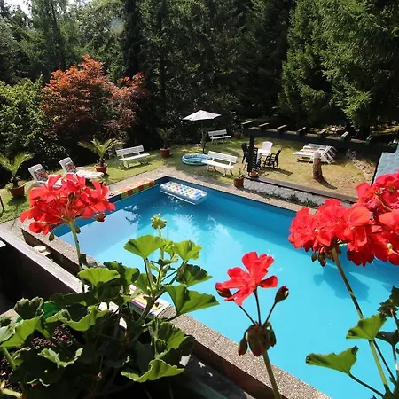 Appartementhaus Schwarzwaldblick Διαμέρισμα *