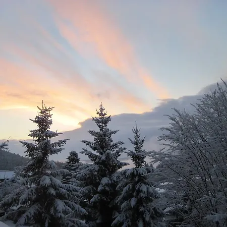Apartmán Appartementhaus Schwarzwaldblick