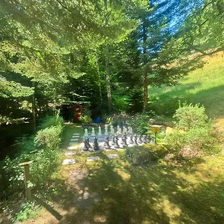 Appartementhaus Schwarzwaldblick * Lauterbach (Baden-Wurttemberg)