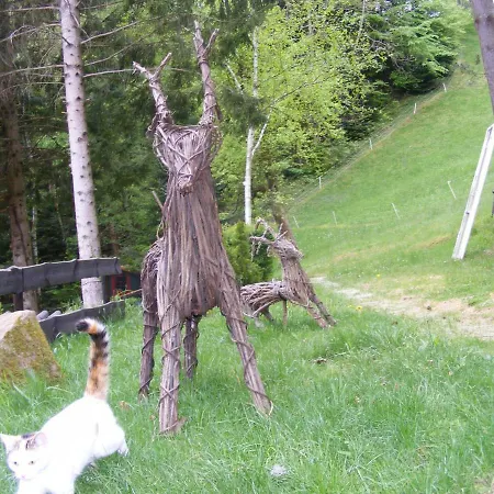 Appartementhaus Schwarzwaldblick 라우터바흐