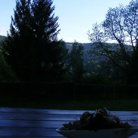 Appartementhaus Schwarzwaldblick 아파트